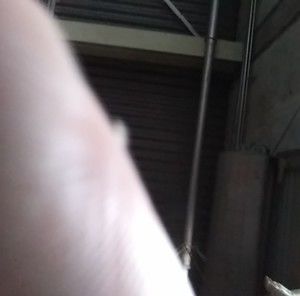 Meet your Posher, Emilio